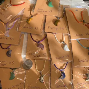 $3 Pendant Necklaces-Star, Moon or Mushroom!