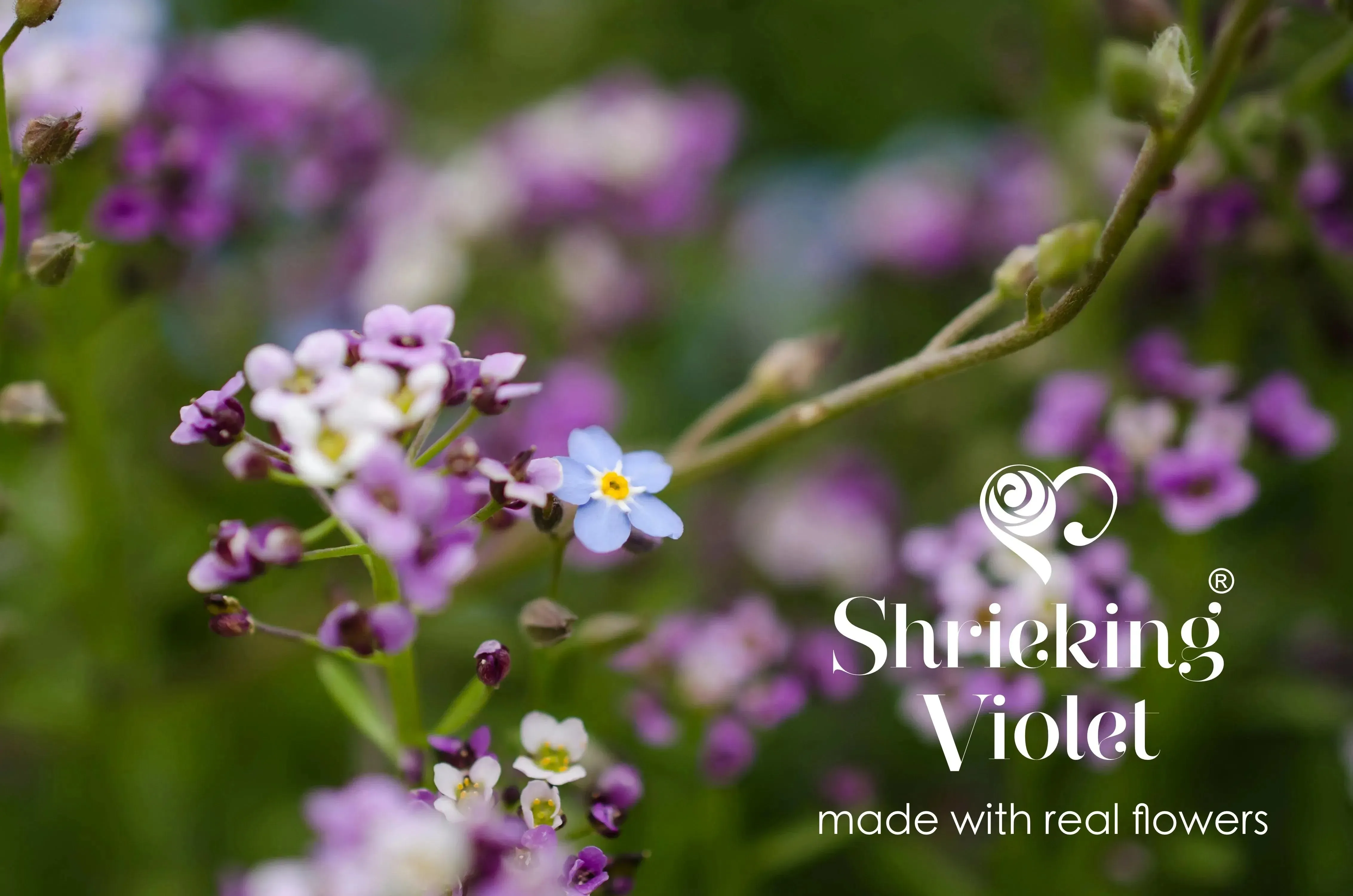 Adjustable Gold-Plated silver Flower Ring - Real Mixed Blooms in .925 Silver - Shrieking Violet®