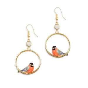 Bullfinch Front Facing Hoops