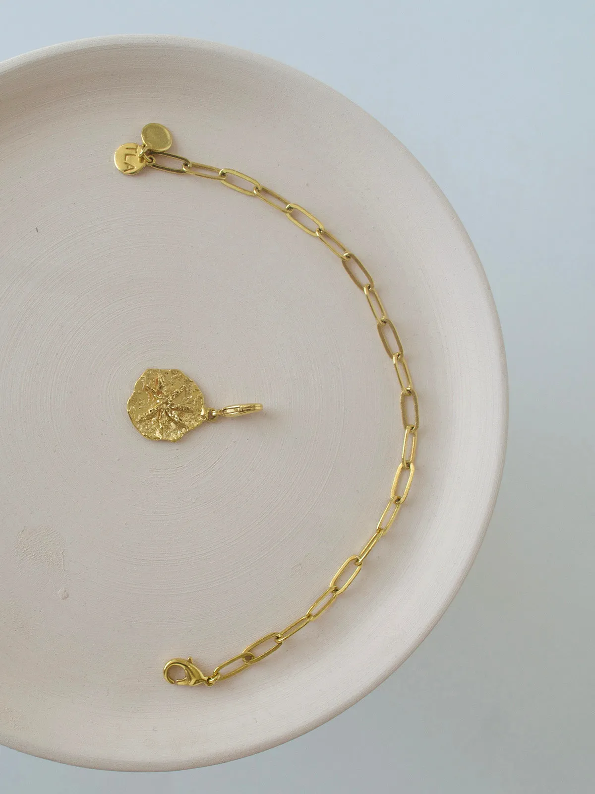 Cinnamon Star Charm