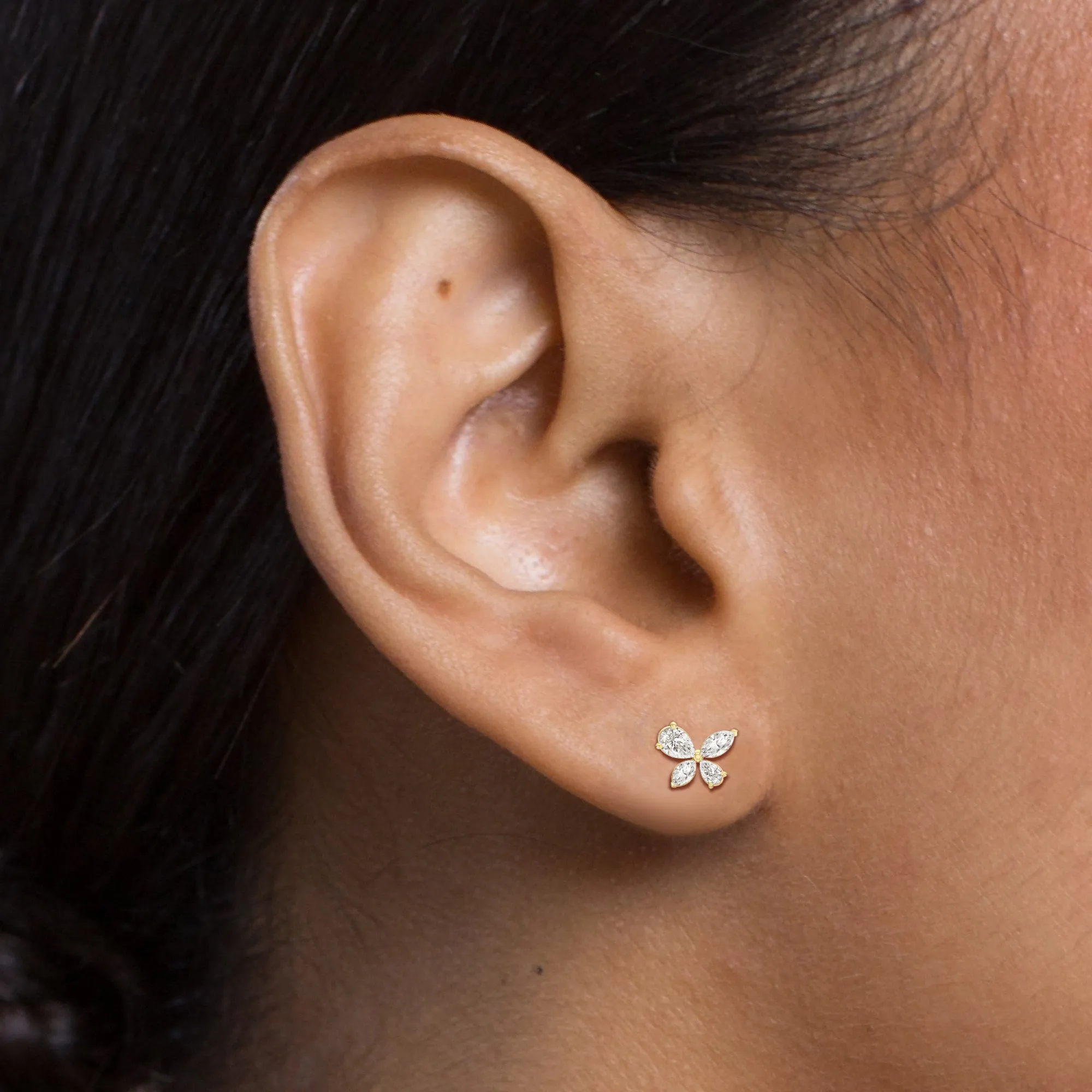 Marsilea Studs