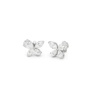 Marsilea Studs