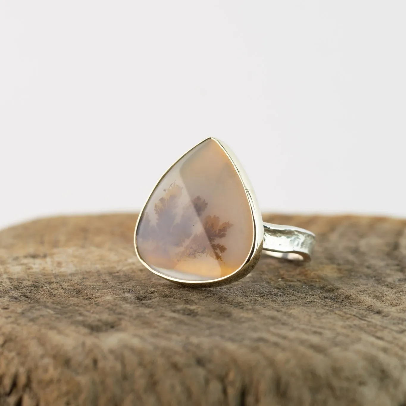 No.841 - Silver and Solid Gold Dendritic Agate Ring - Size P