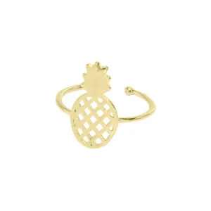 *Pineapple Brushed Ring, Gold