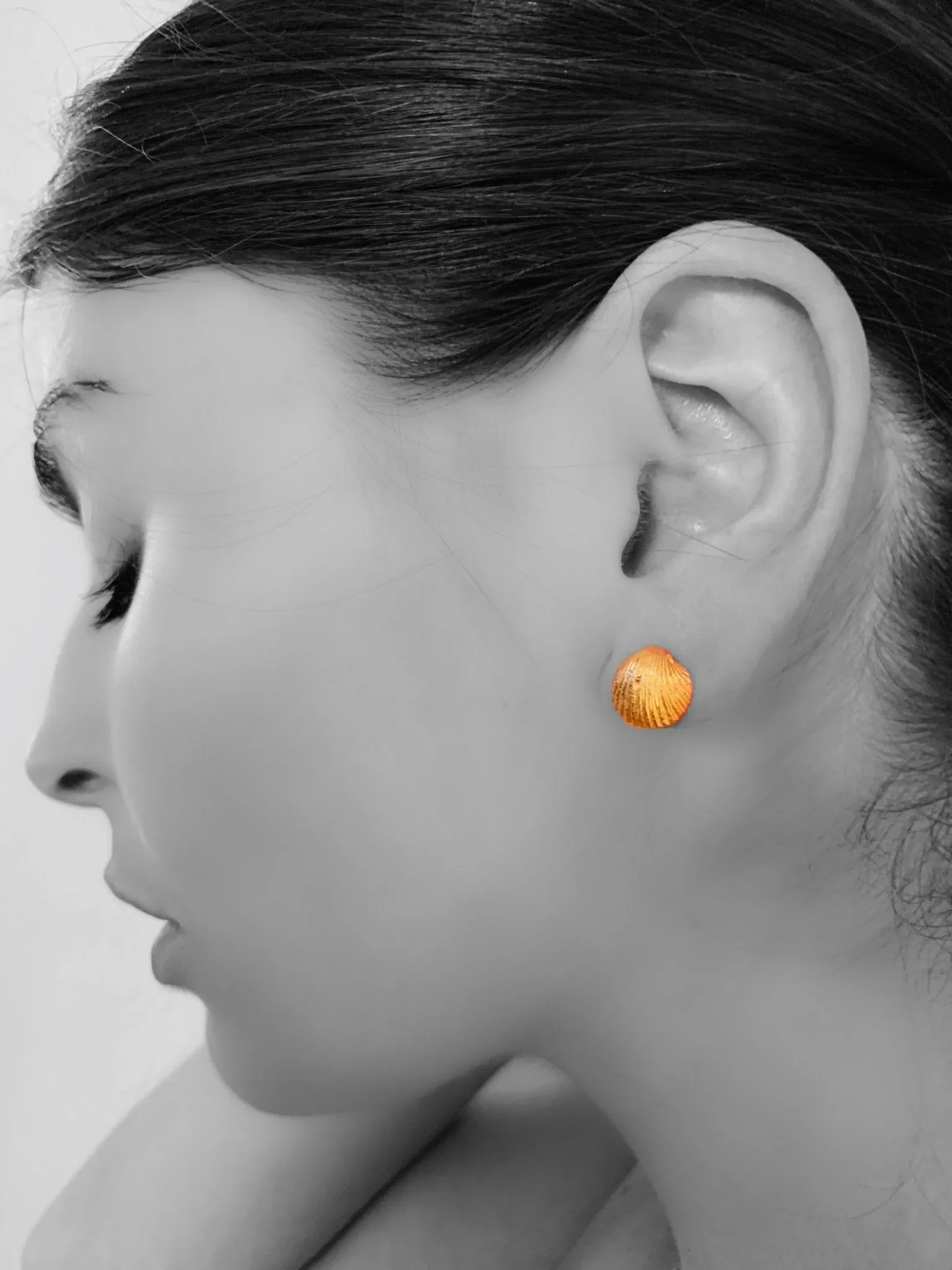 SHELL Earrings