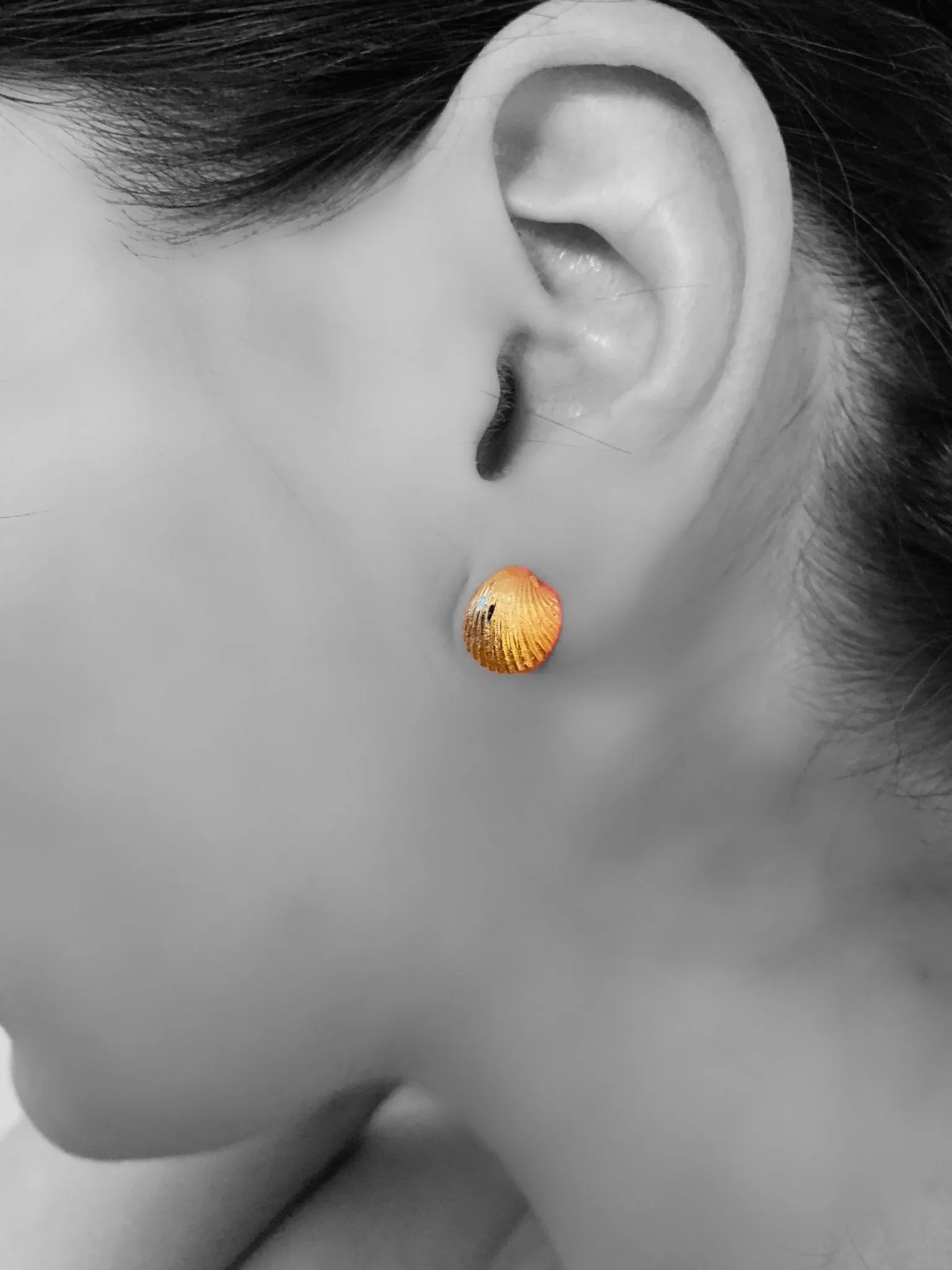 SHELL Earrings