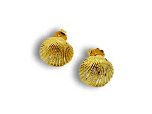 SHELL Earrings