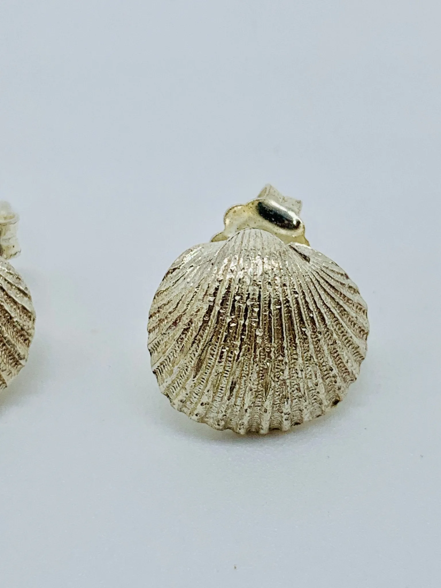 SHELL Earrings