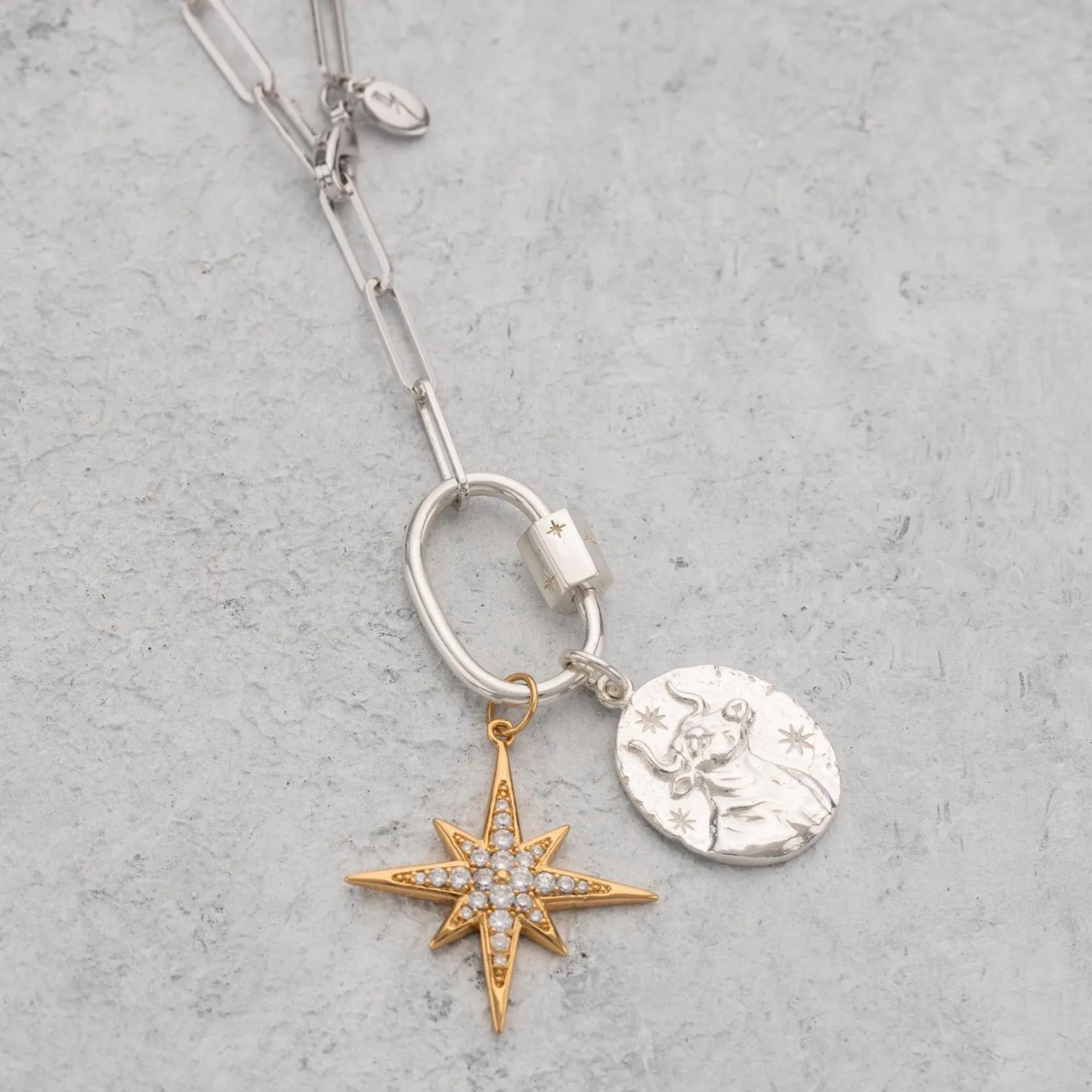 Silver Zodiac Charm
