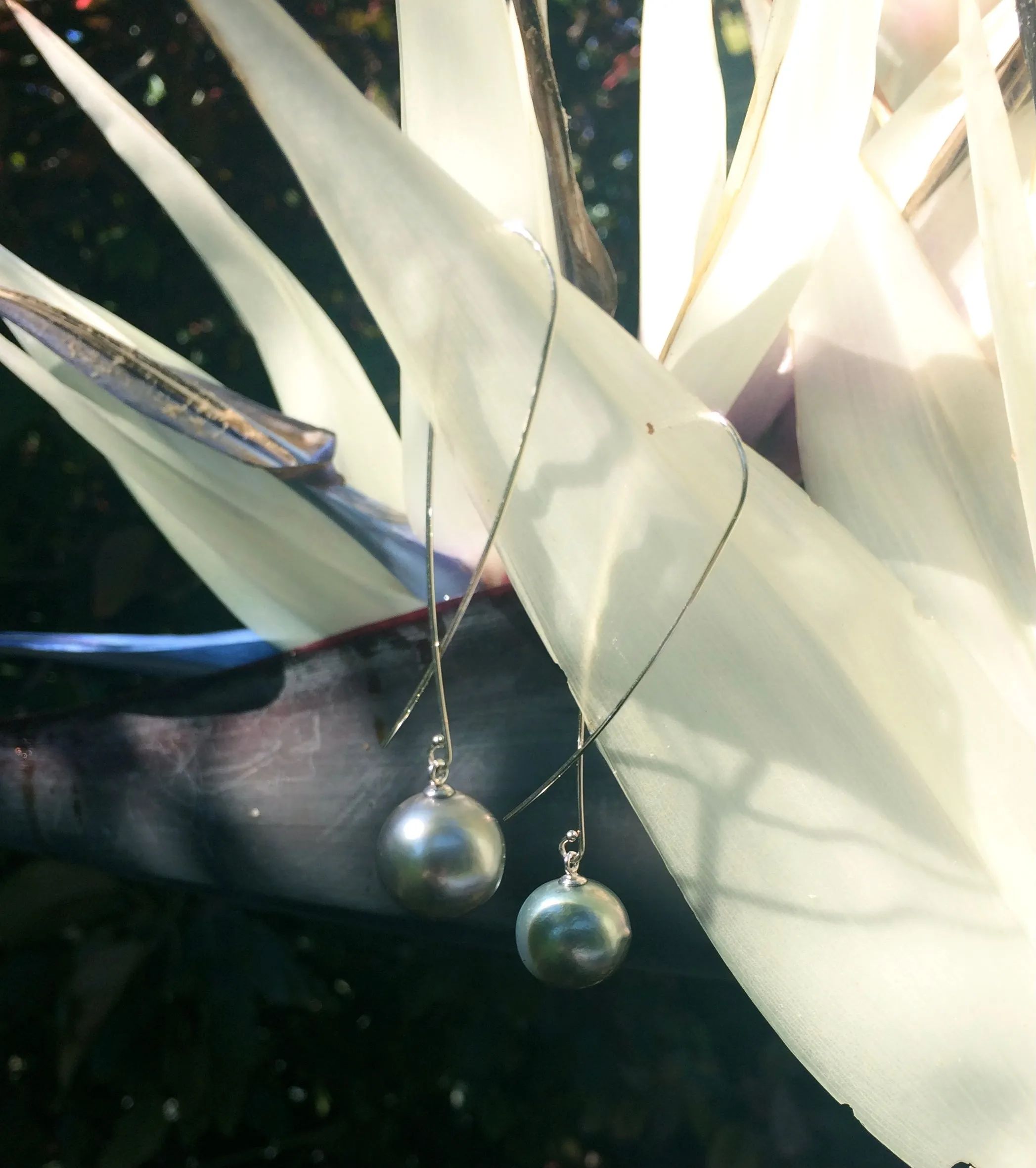 Tahitian Pearl Earrings