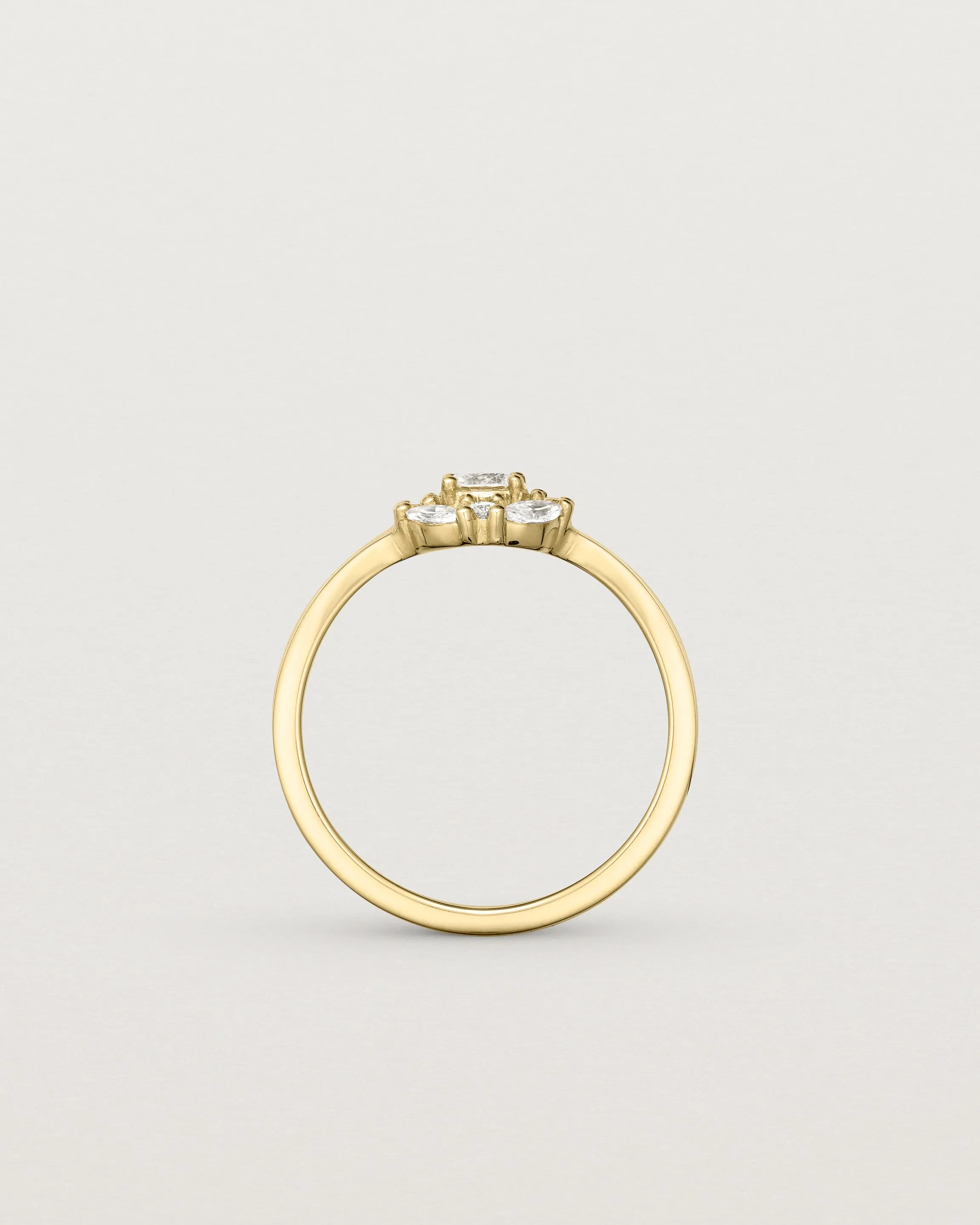 Tilly Halo Ring | Diamonds
