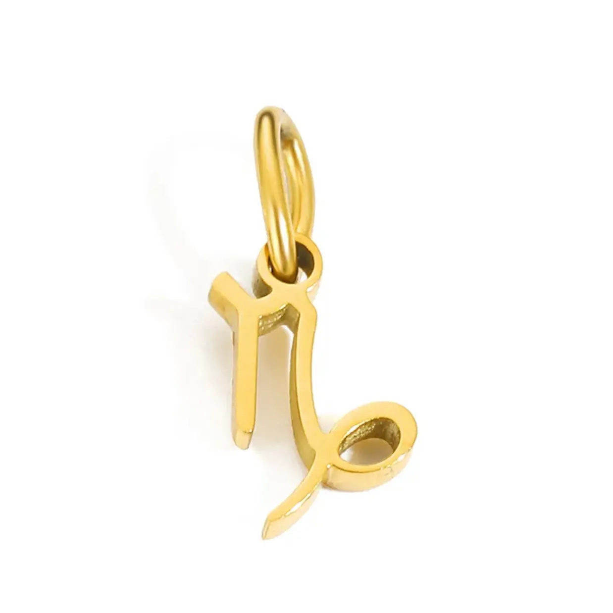 Zodiac Charm Necklace