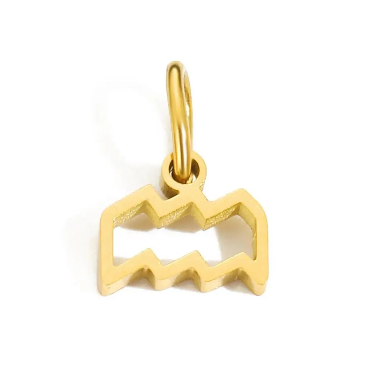 Zodiac Charm Necklace